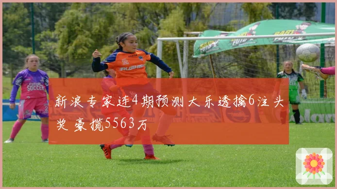 新浪专家连4期预测大乐透擒6注头奖 豪揽5563万