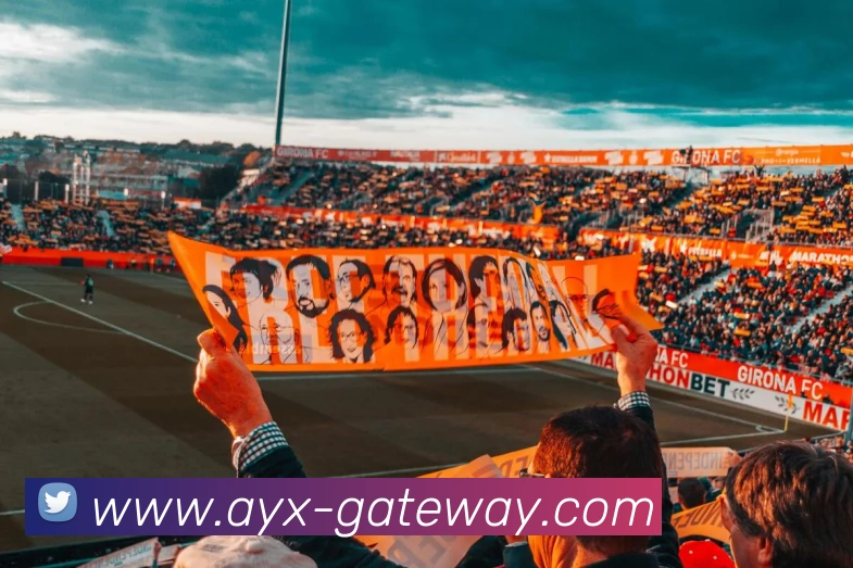 多媒体互动体验